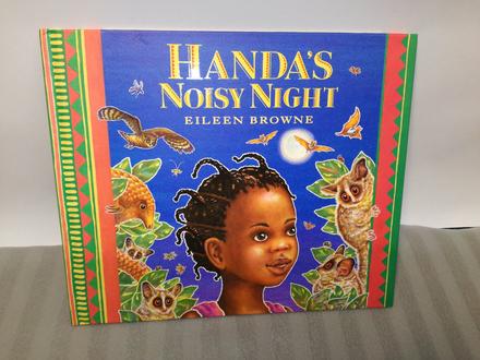 Handa's noisy night hb nsp22, 