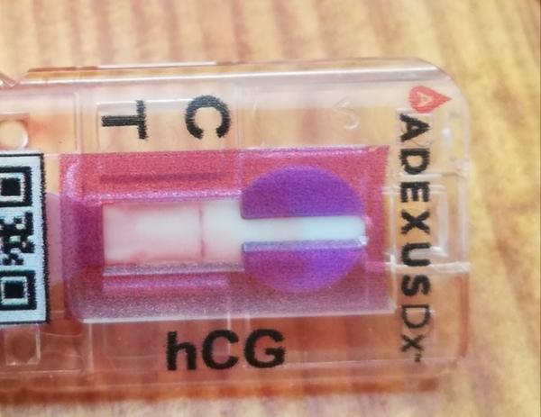 Krvný tehotenský test