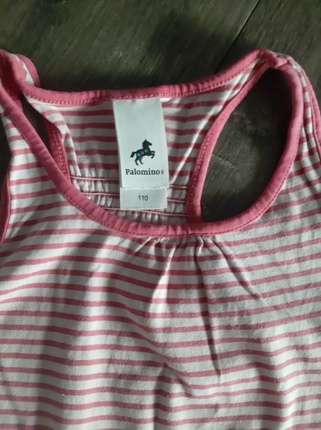 Tielko, palomino,110