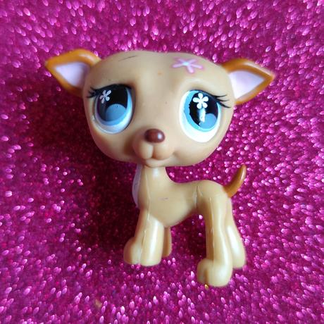 Lps littlest pet shop,