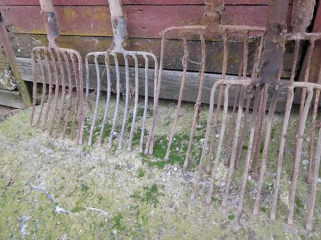 Staré náradie vidly s drevenou rukoveťou,,