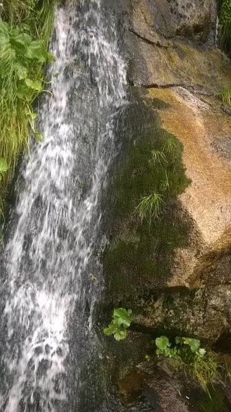 Ži zdravo a športovo