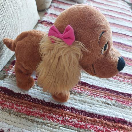 Interaktívny psík, 