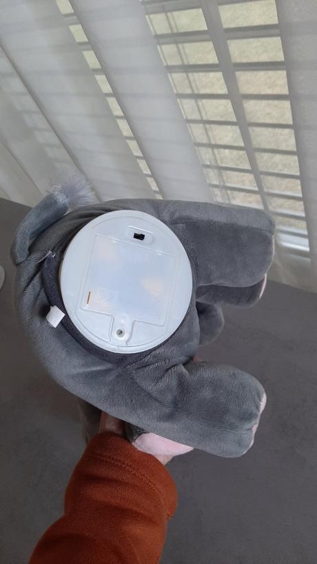 Spievajúci sloník,