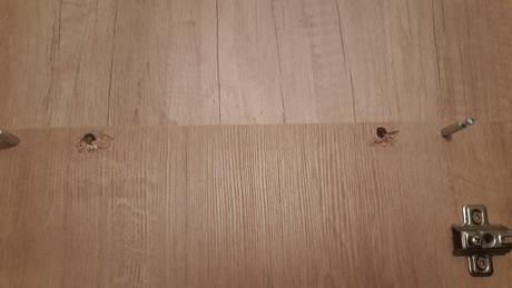 Vyklapacia posteľ-dvoj lôžko, 