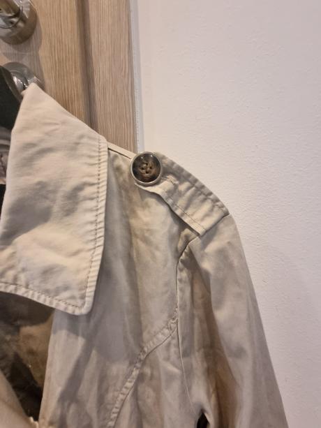 Bledý jarný kabát, amisu,l