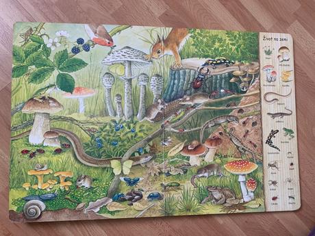 Christine henkel - čo skrýva les, 