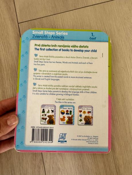 Anglicko slovenska knizka, 