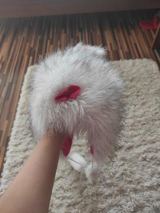 Zajačikova čiapka, 122