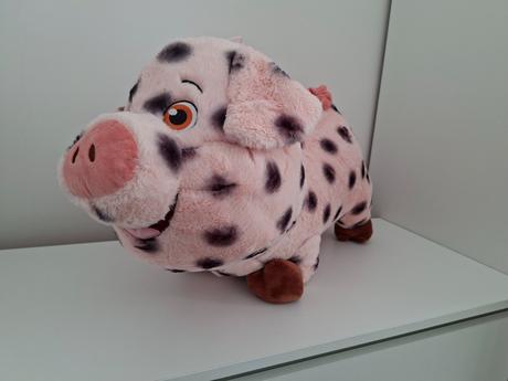 Prasa 60cm,