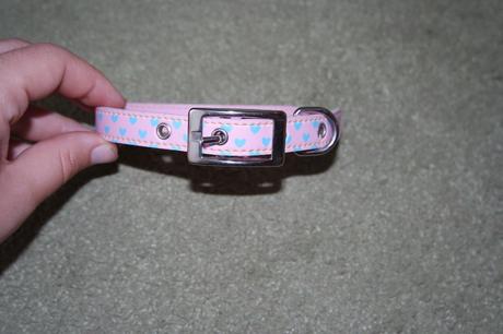 Obojok pre psíka-nepoužitý, 