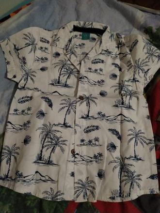 Kosela pre chlapca, 116