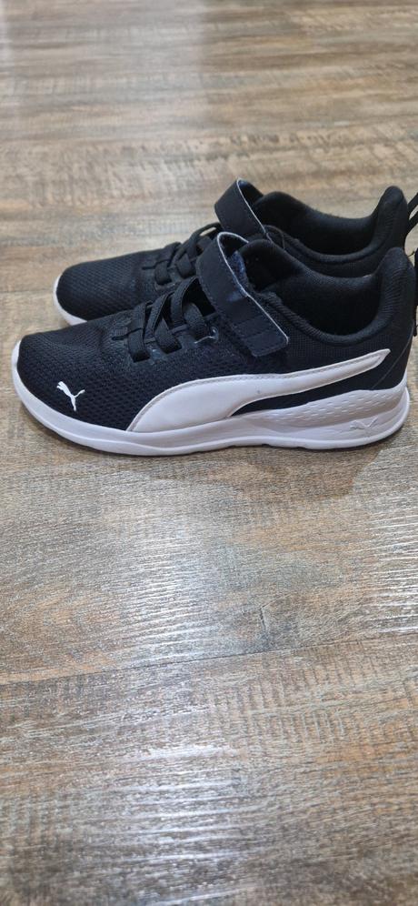 Puma tenisky, puma,33