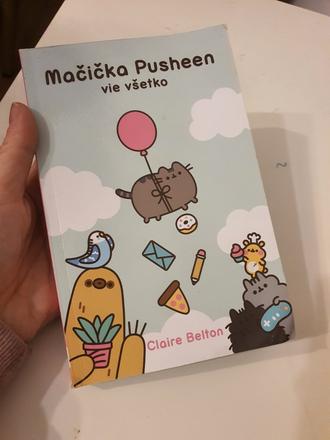 Macicka pusheen vie všetko, 