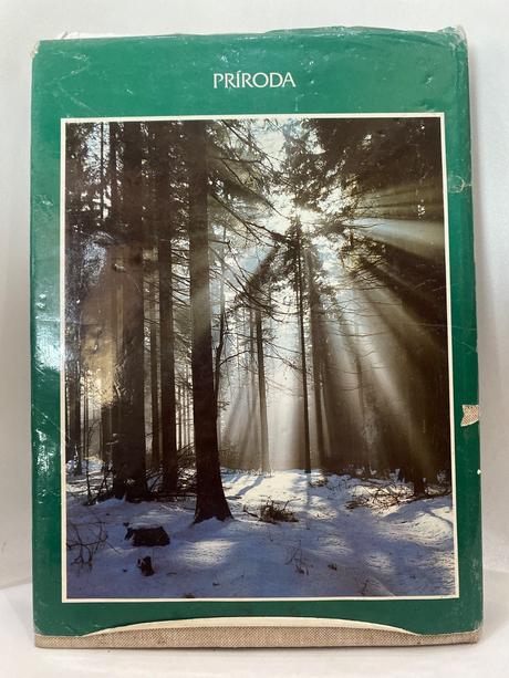 Kniha- poľovícky rok - lorenzo michaelli, 