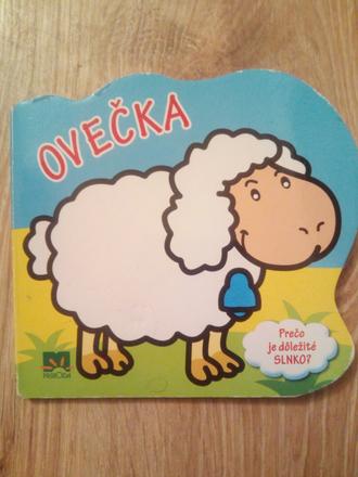 Ovečka ô, 