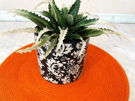 Črepník  so sukulentom, 