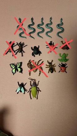 Sprievodca prírodou,