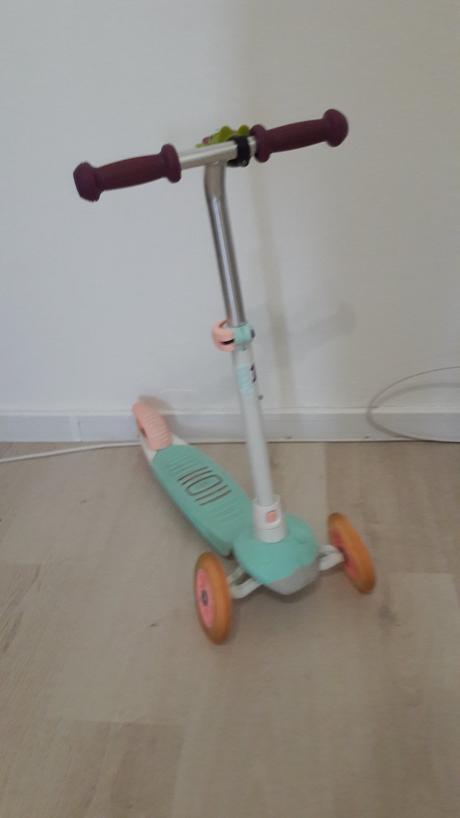 Oxelo kolobežka svietiaca, oxelo