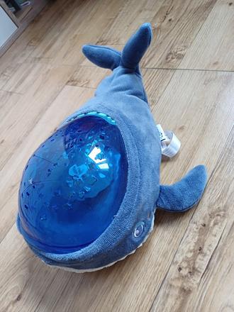 Projektor a biely šum, 