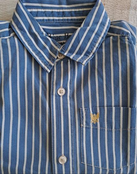 Pásikatá košeľa, blue base,116