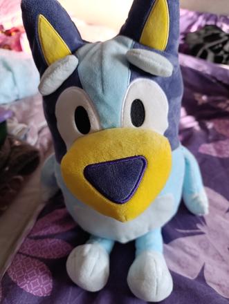 Bluey set, 