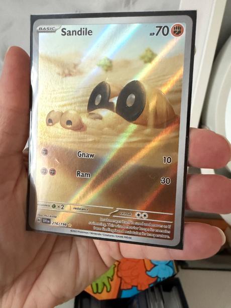 Pokemon elite trainer box, 