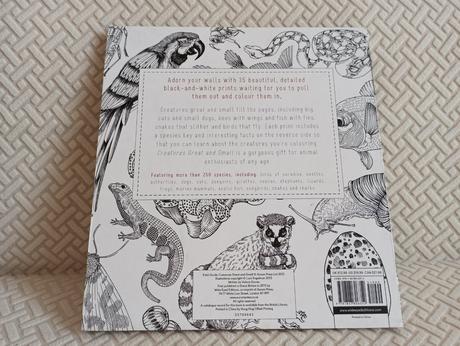 Lucy engelman - creatures great and small, 