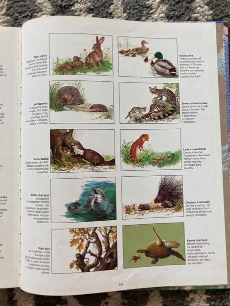 Zvieratá európy-prvé vyd.1997, 