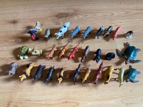 Rôzne malé zvieratká, 