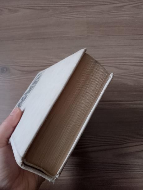 Marija jurič zagorka - dvorná kamarila, 