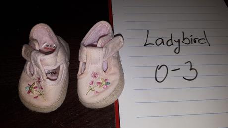 Capacky, ladybird,17