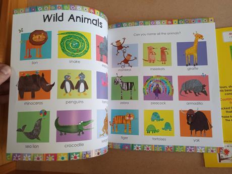 My book of first words / numbers, shapes, colours, 