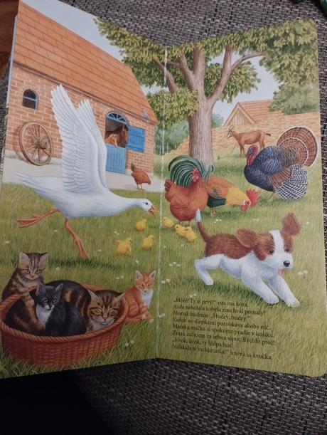 Kniha s tvrdými stranami, 