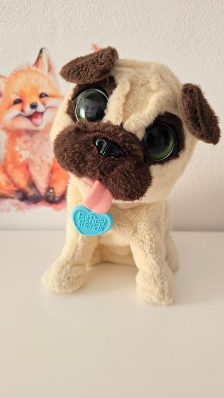 Hopsajúce šteniatko mopslíka,