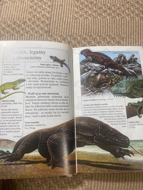 Divé zvieratá dupont philippe,