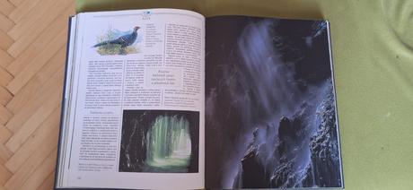 Encyklopédia čarovný svet, 