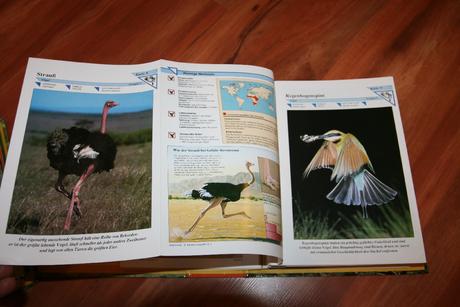 Fascination tier und natur kniha, 