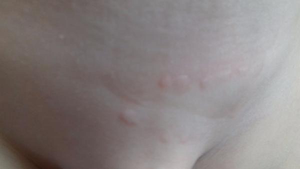 Výsev, krorý sa niekoľkokrát za deň objaví zmizne a zase sa objaví