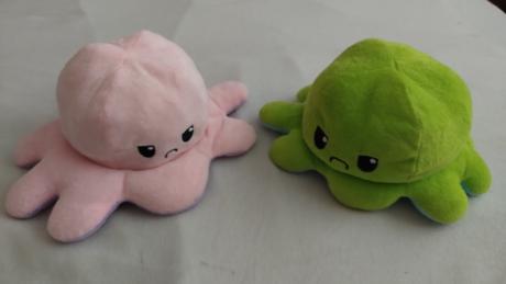 Chobotnica plyšák, 