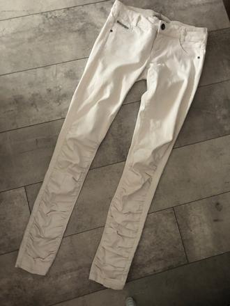 Biele rifle s, terranova,s