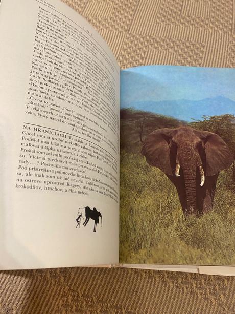 Krásna kniha o afrike safari pod kilimandžárom,