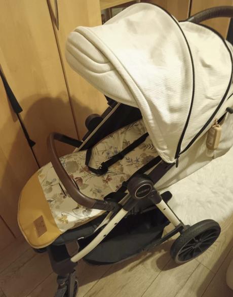 Kočik, coletto,coletto joggy