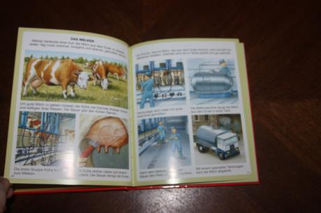 Dein buntes wörterbuch 5 ks, 