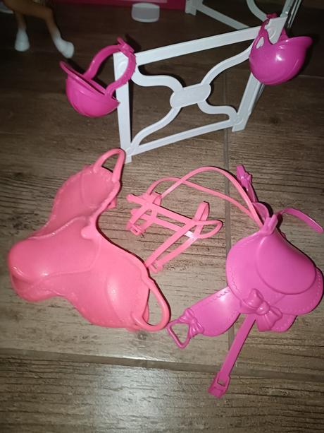 Menší koník s ohradou, 