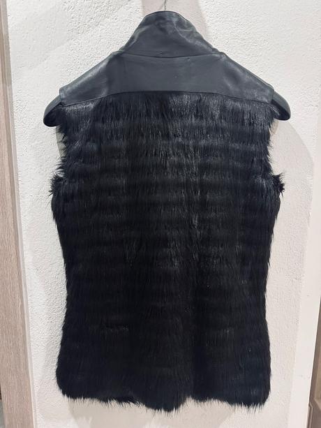 Vesta marciano, guess,s