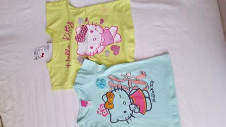 Hello kitty, sanrio,110