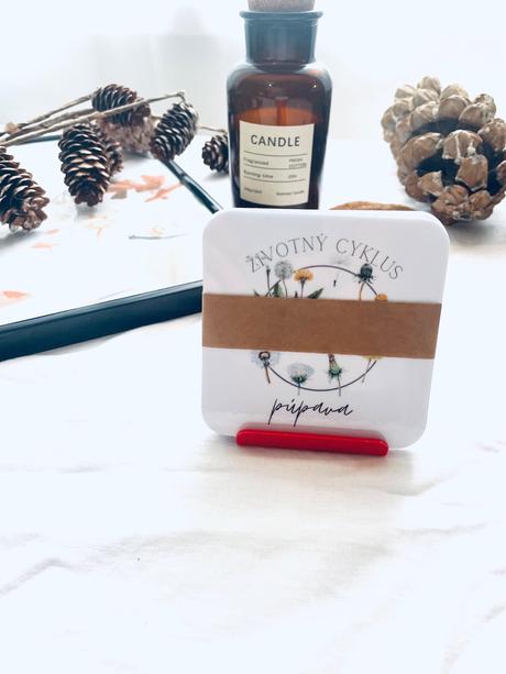 Životný cyklus - slovenské vzdelávacie kartičky,