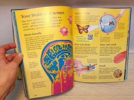 The usborne children's encyclopedia,