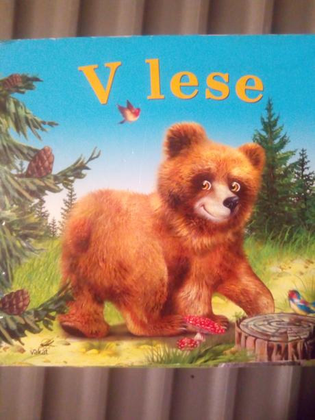 V lese s medvedikom ô,